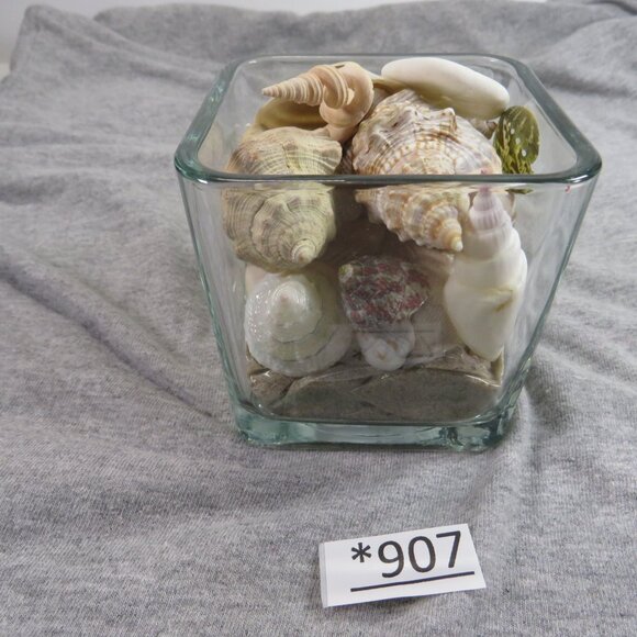 REAL Sea Shells in a Glass Square Vase and sand #12 - Picture 1 of 11